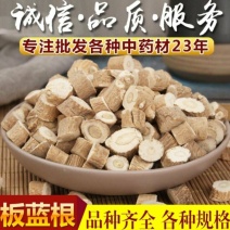 板蓝根材批发板兰根片泡水煲汤板蓝根无硫批发零售