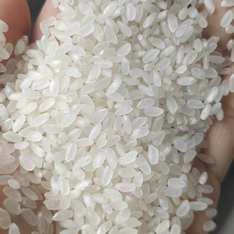 珍珠米厂家直销常年供应品质保障价钱可详谈