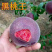 新品种黑桃王桃树苗黑桃皇后树苗嫁接桃树苗南北方种植