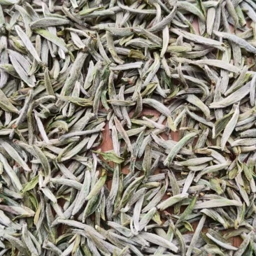 白毫银针2025年新茶