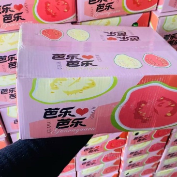 红心白心芭乐