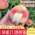 嫁接瑞蟠19号20号25号13号桃苗，耐寒南北方种植