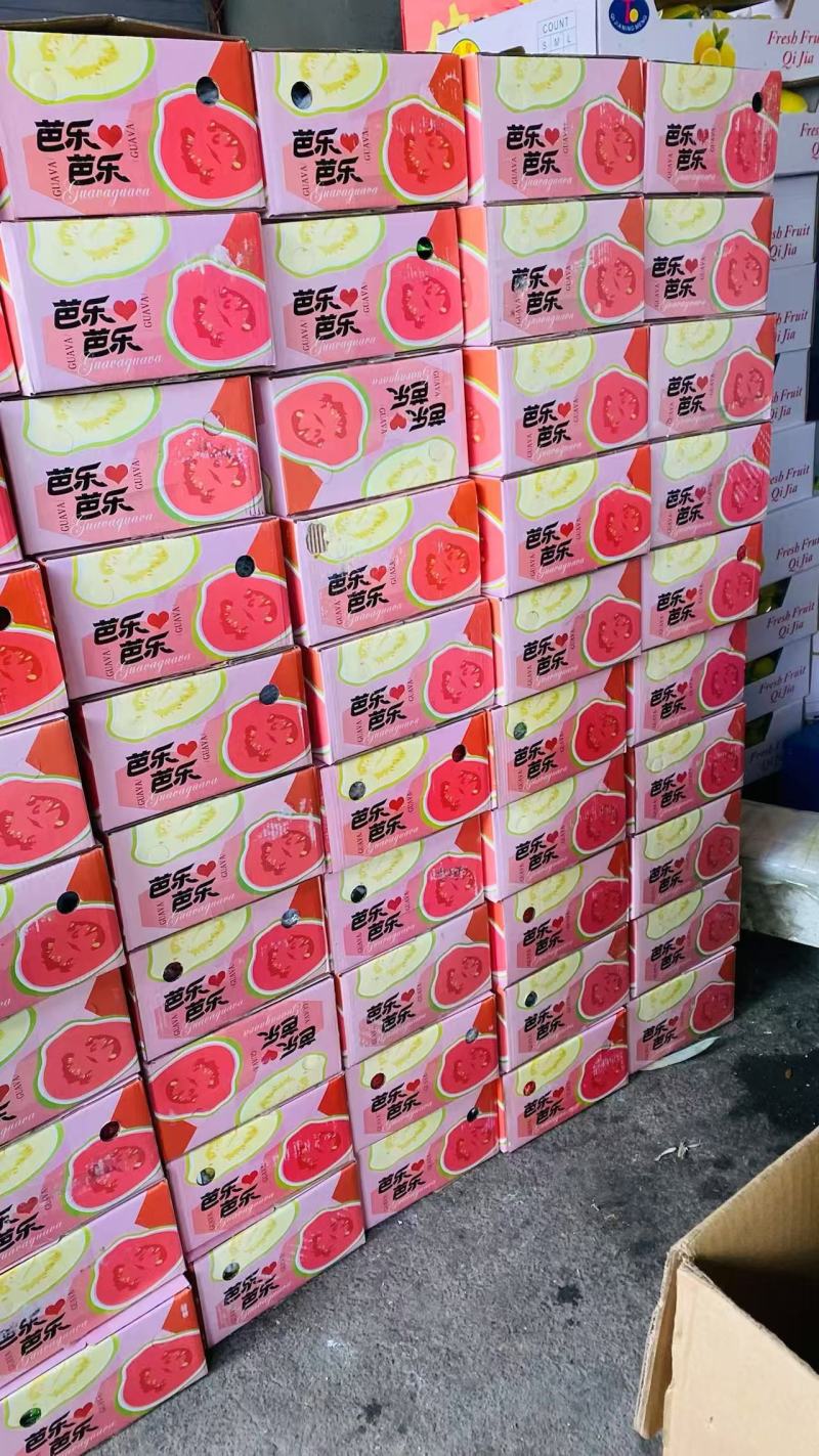 红心白心芭乐