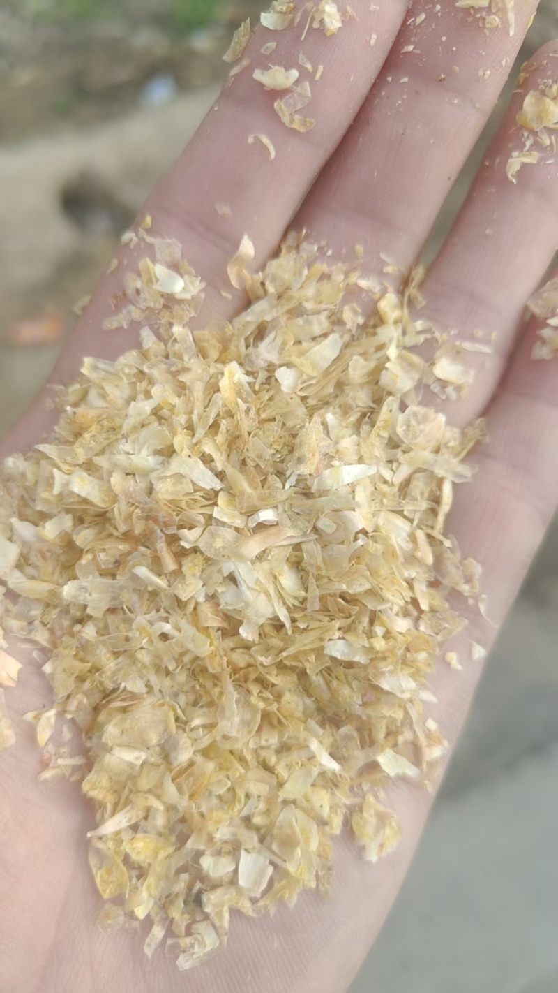 河北玉米副产品玉米皮喷浆玉米皮玉米白皮！！！