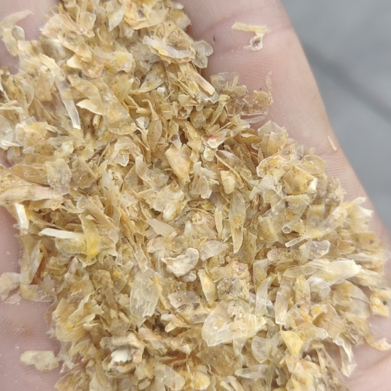 河北玉米副产品玉米皮喷浆玉米皮玉米白皮！！！