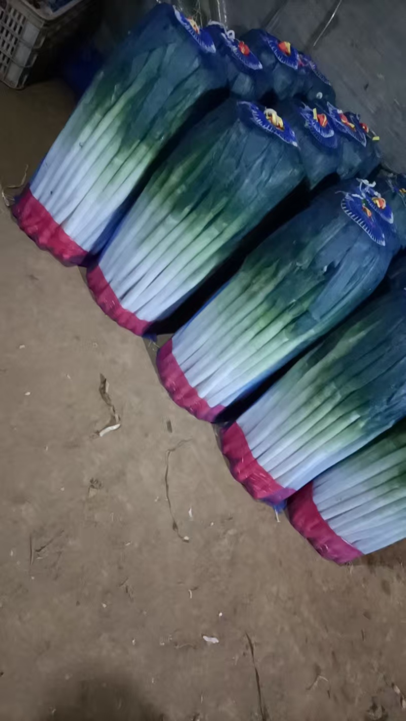 精品大葱净葱/毛葱货源充足量大从优对接全国产地发货