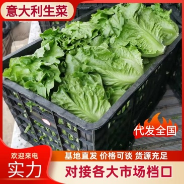 常年有货产地直发一手货源保质保量
