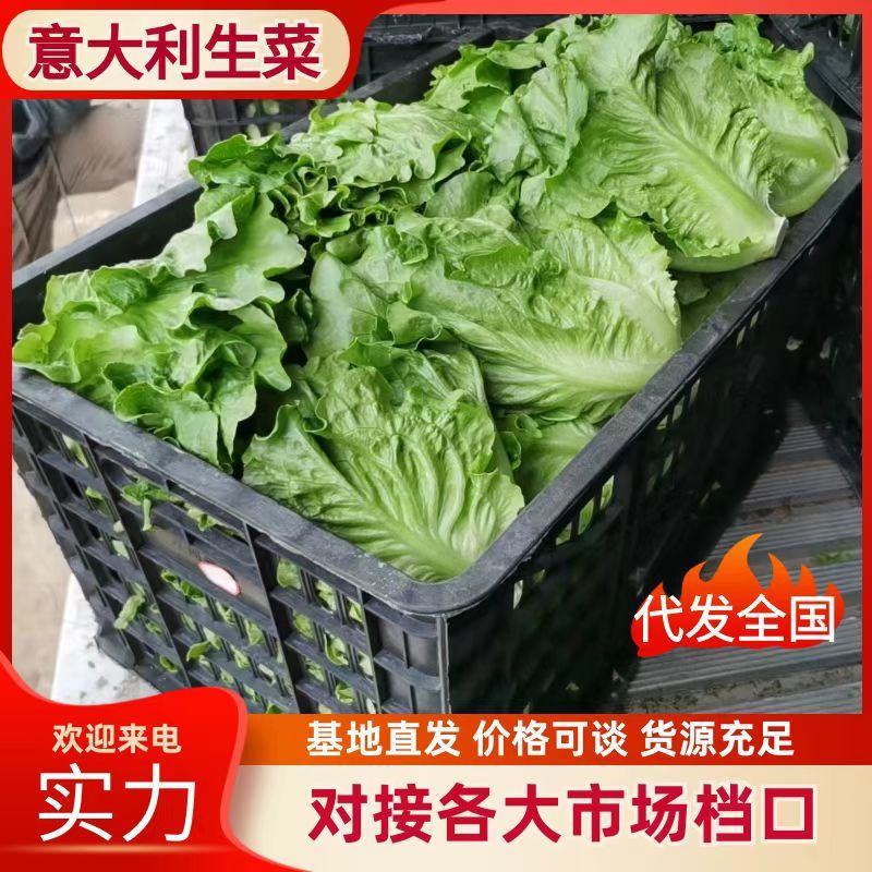 产地直发供应全国各大电商市场超市