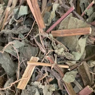 豨莶草稀签草【包邮】三斤起发货可批量可零售量大从优