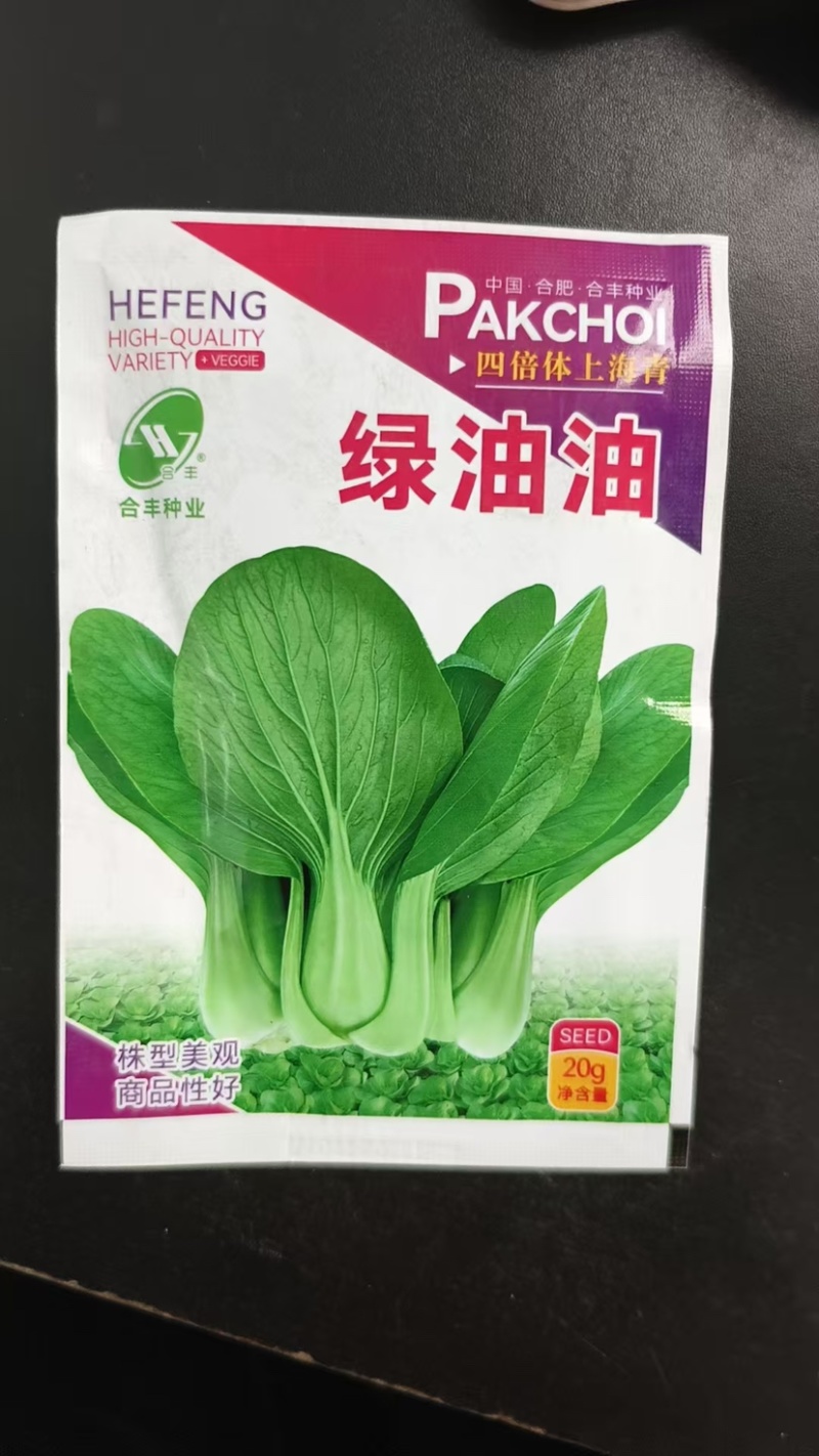 绿油油-四倍体上海青种子丰产耐热耐寒抗病