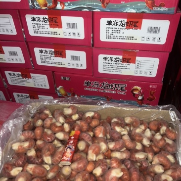 特级单冻龙虾尾9斤箱厂家直供规格齐全常年不断货量大从优
