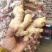 姜母山东老姜母过筛水洗风干老姜长期稳定供货欢迎合作