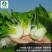 四季奶油白-小白菜种子耐热耐寒产量高长得快