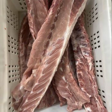 肥猪龙骨，新货