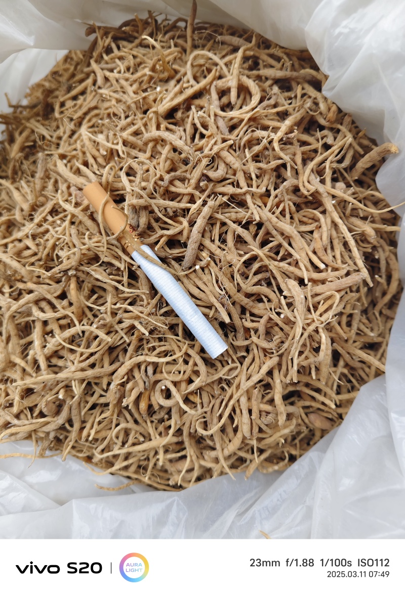 太子参