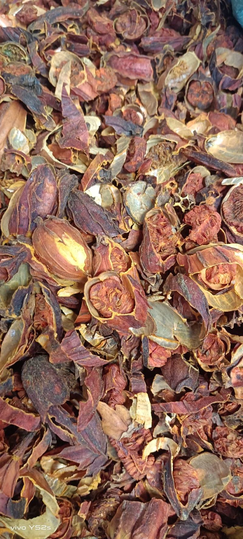 栀子一整个和切片的都有货，中药我们只做正品，