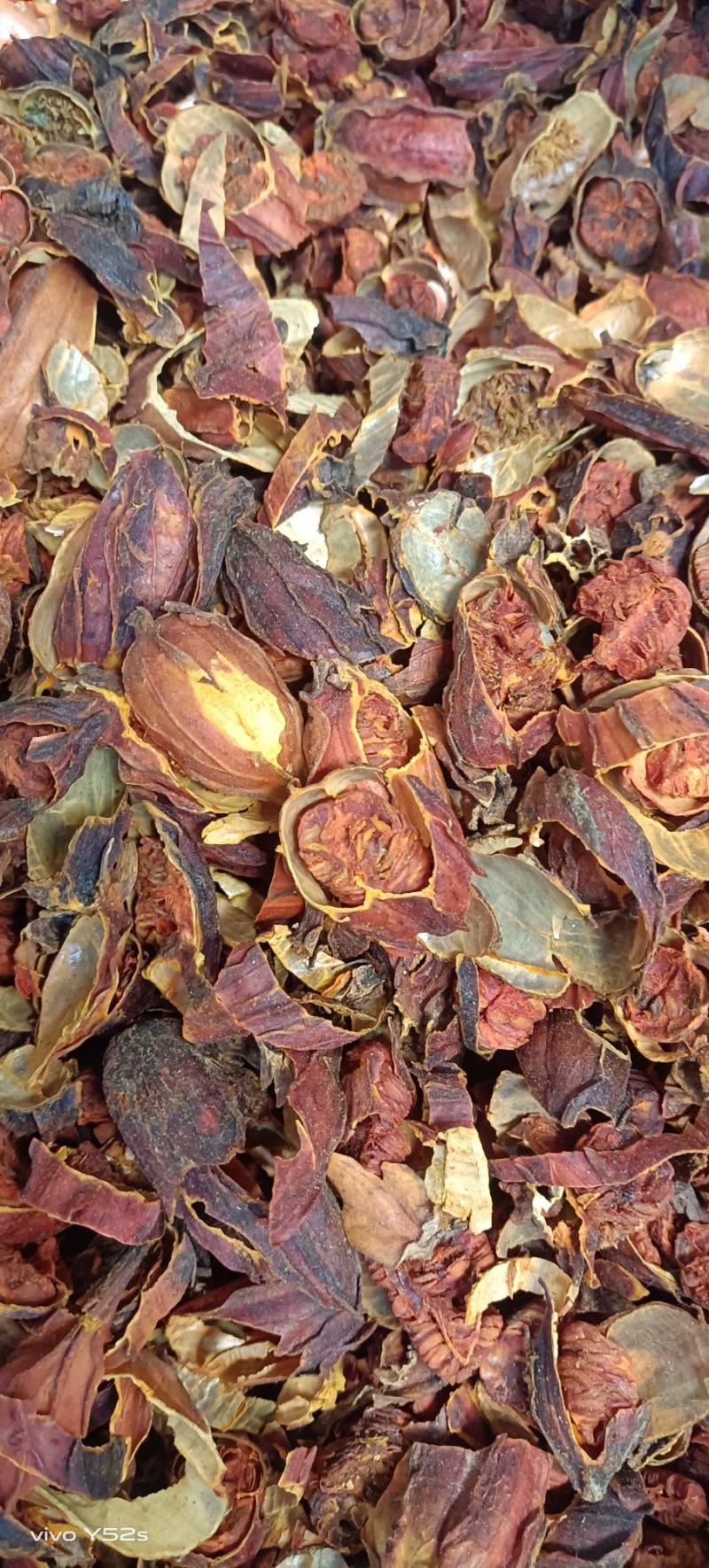 栀子一整个和切片的都有货，中药我们只做正品，