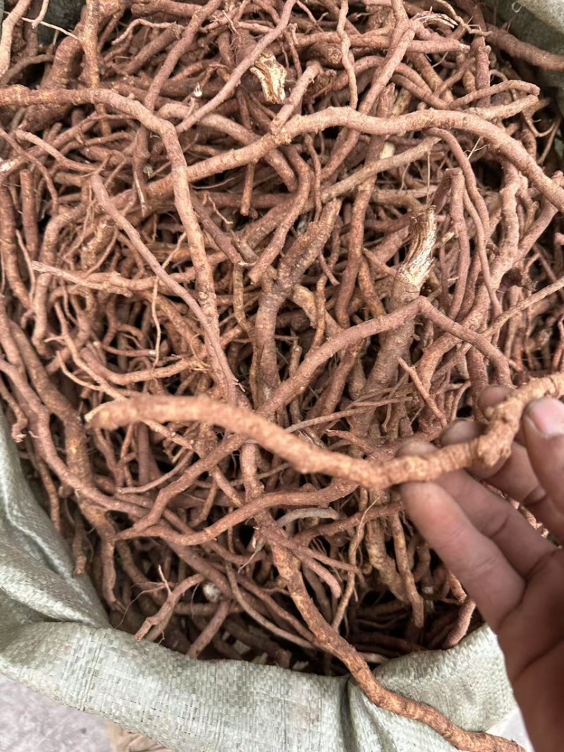 大通草根可供全国可视频看可现场看货源充足