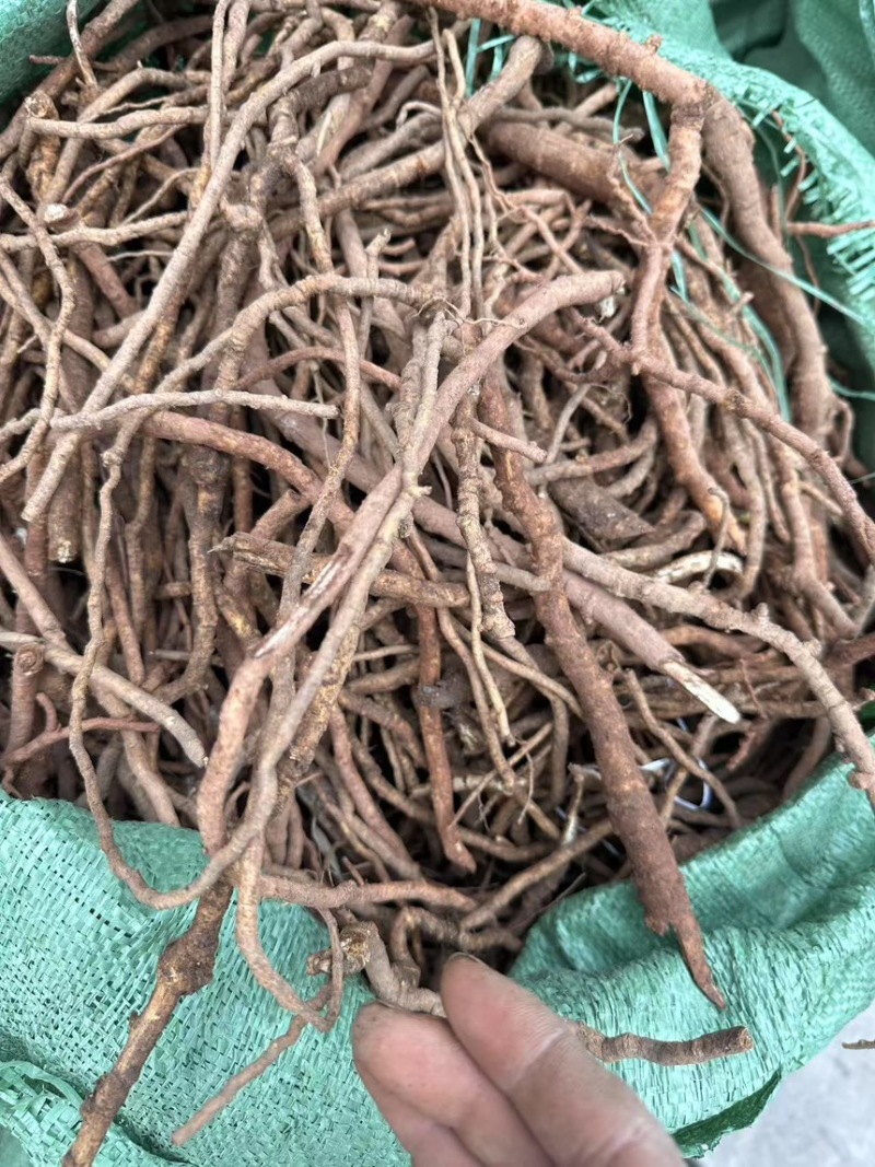 大通草根可供全国可视频看可现场看货源充足