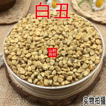 白丑加黑丑又名牵牛子冷背药材批发
