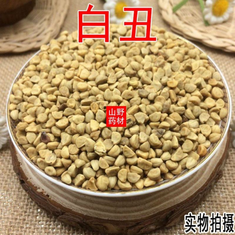 白丑加黑丑又名牵牛子冷背药材批发