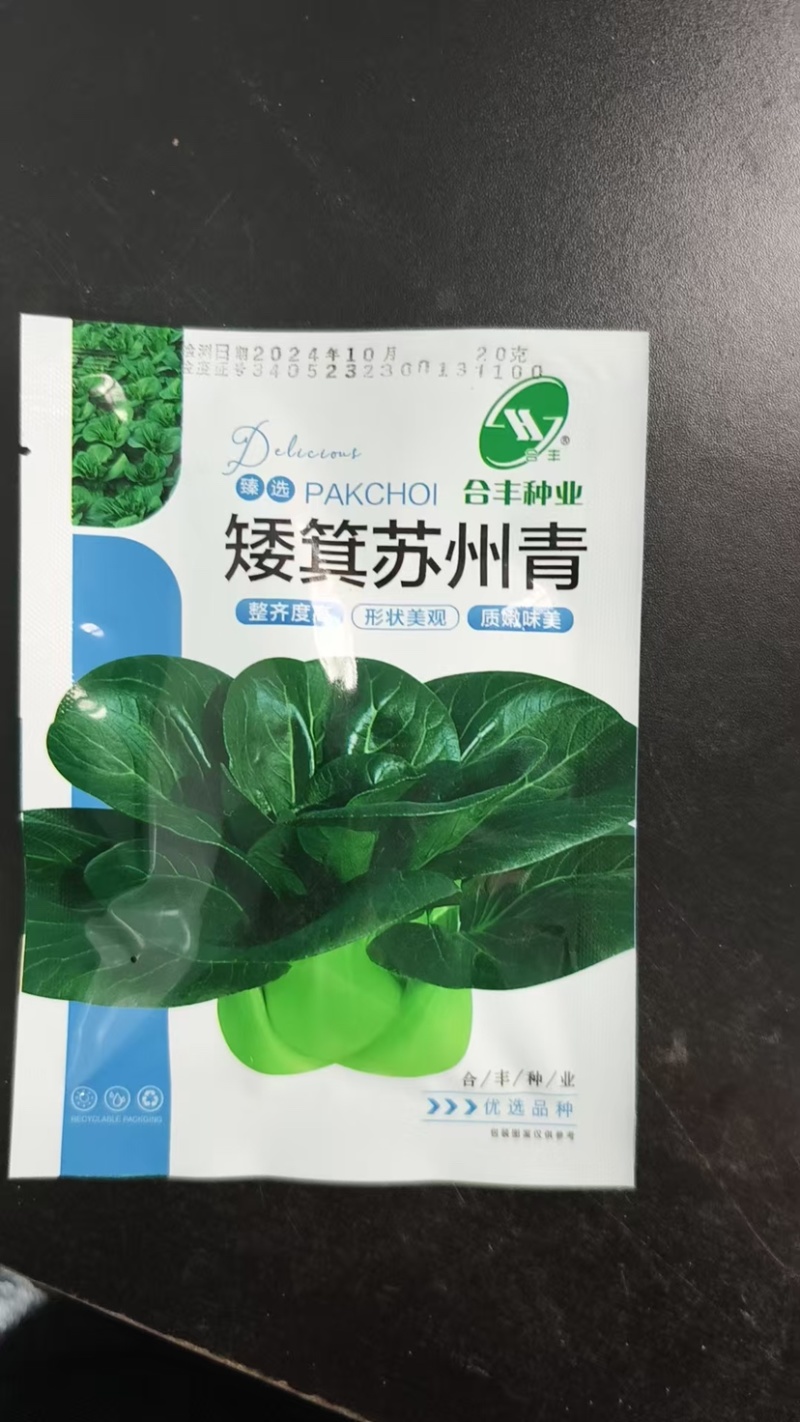 矮箕苏州青种子-矮脚形状美观头大束腰质嫩味美耐寒