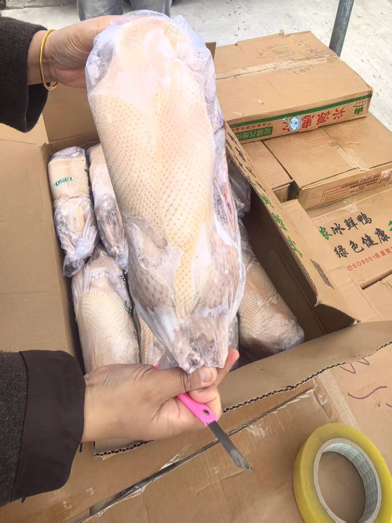 2.7斤白条鸭，一级，毛净度好