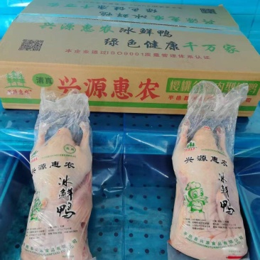 山东兴源白条鸭厂家直发大量供货对接全国市场商超酒店