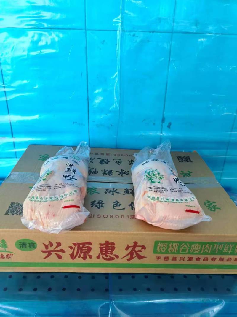 山东兴源白条鸭厂家直发大量供货对接全国市场商超酒店