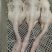 山东光大白条鸭食品，纯干货无水。一斤解冻出一斤