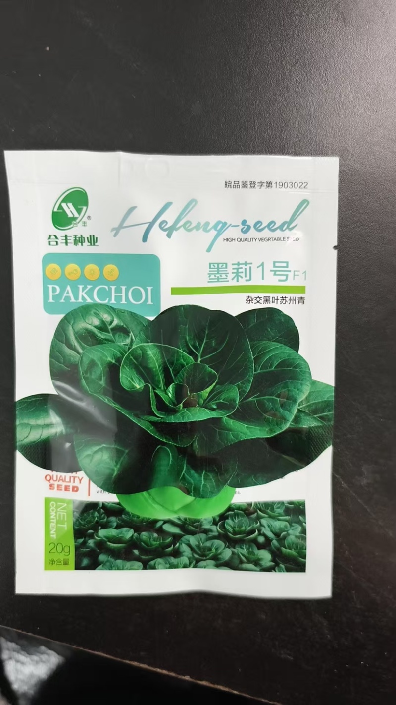 墨莉一号-黑叶苏州青种子杂交耐寒品种丰产性好
