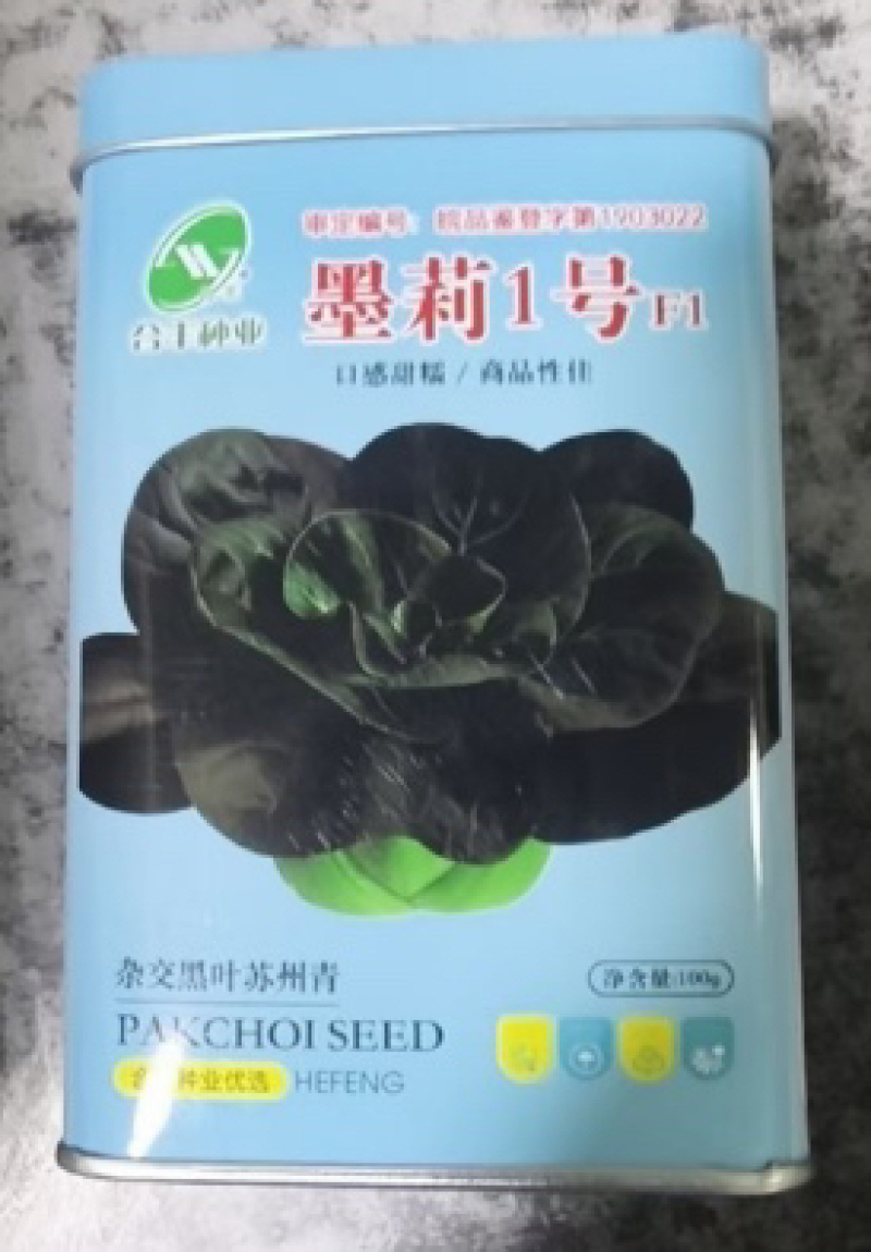 墨莉一号-黑叶苏州青种子杂交耐寒品种丰产性好