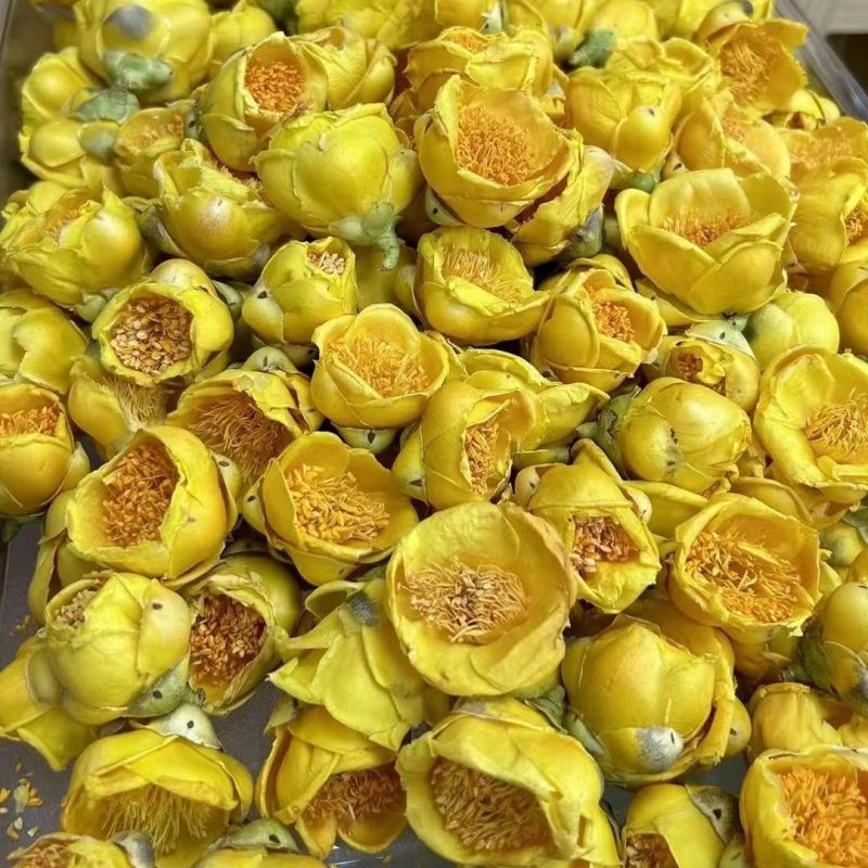 金花茶干花正宗金花茶广西特级防普金花茶