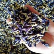 蓝蝴蝶花茶蝶豆花精选碟豆花粉干蝶豆花茶蓝色