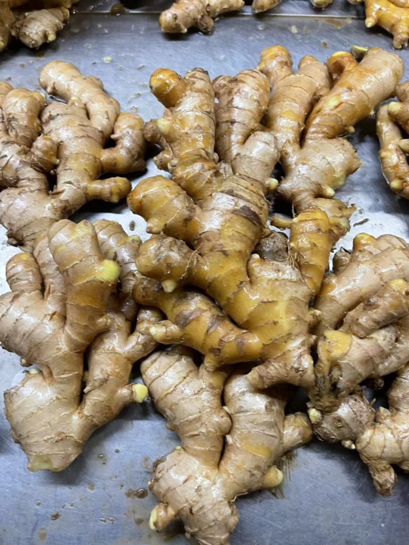 生姜大黄姜窖藏洞藏泥姜商超电商货坏烂包赔代发全国