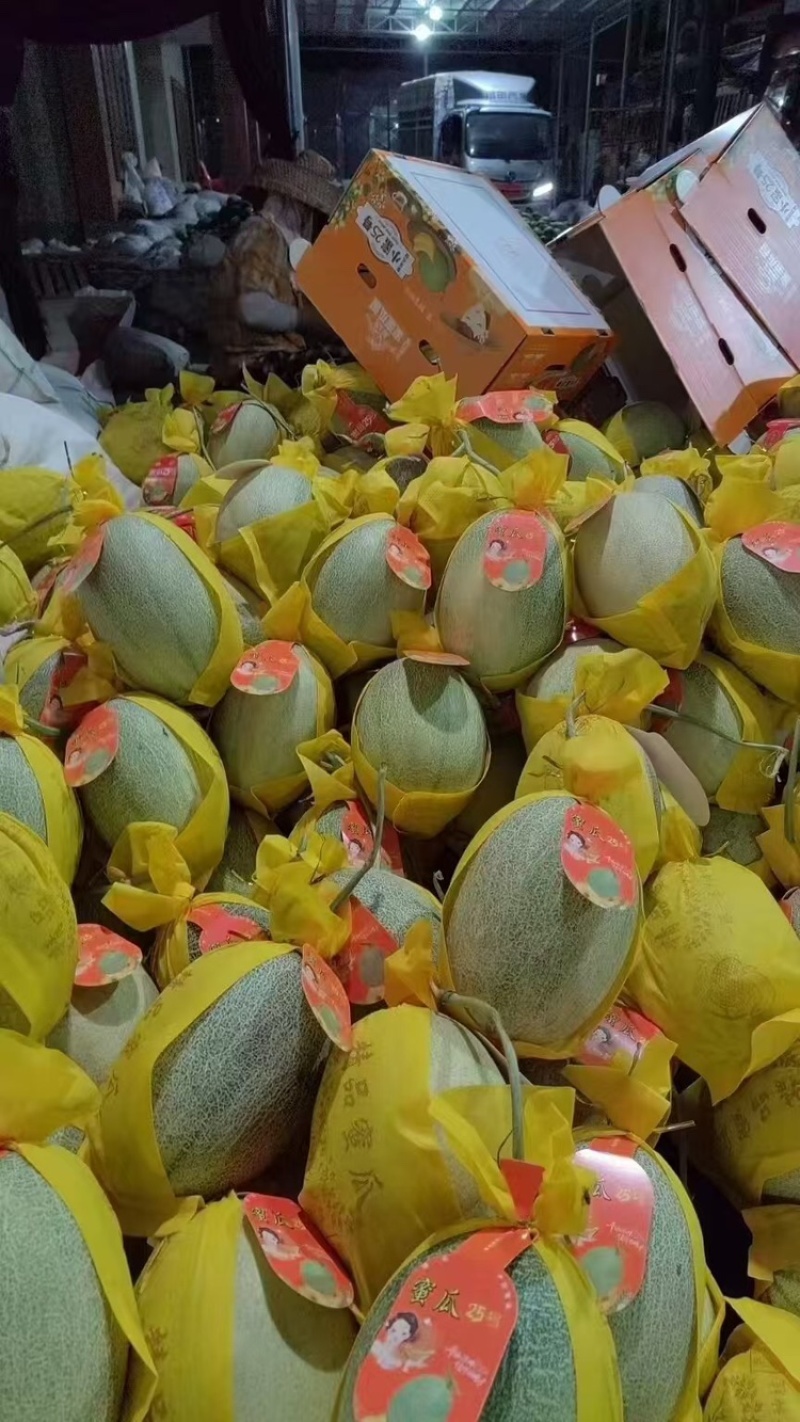 市场货，晓蜜哈密瓜