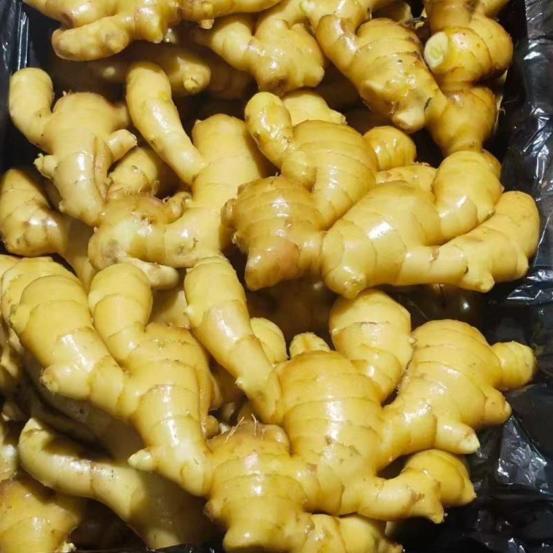 生姜大黄姜窖藏洞藏泥姜商超电商货坏烂包赔代发全国