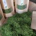 金银花茶500g特级正品散装野生茶叶
