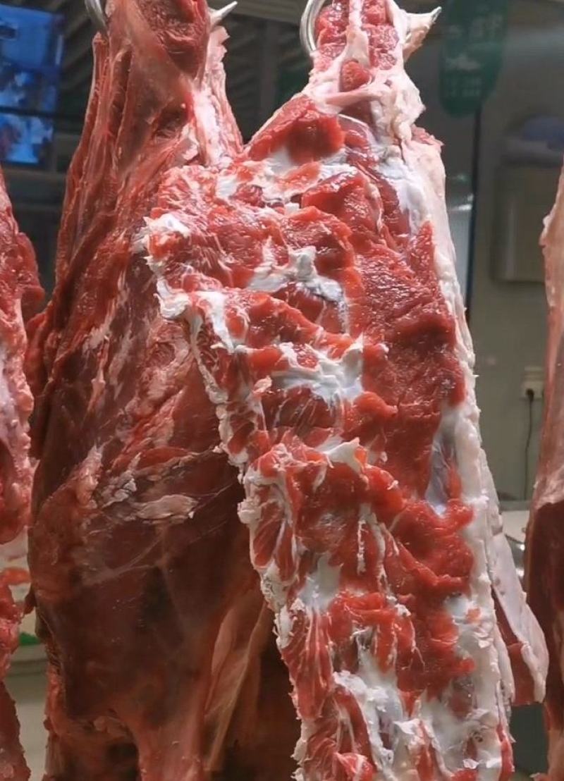 伊犁鲜牛肉，厂家直销西安。48小时排酸纯干无水，货源充足