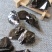 中药材蜂胶,峰胶,新货,药用蜂胶,正品