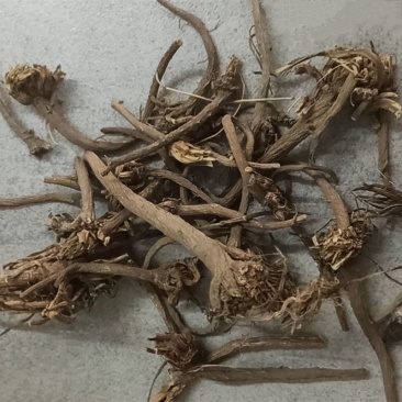 正品阿纳其根欧都里开日合除虫菊根