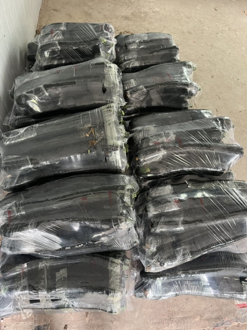 【南瓜】黑皮南瓜吊南瓜长南瓜嫩南瓜青皮南瓜长条形