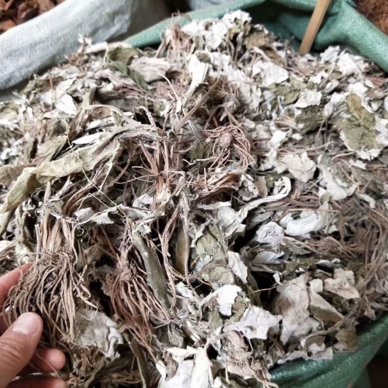 中药材白眉草1公斤一枝香四皮香贴地香黑眉草中草药毛大丁草