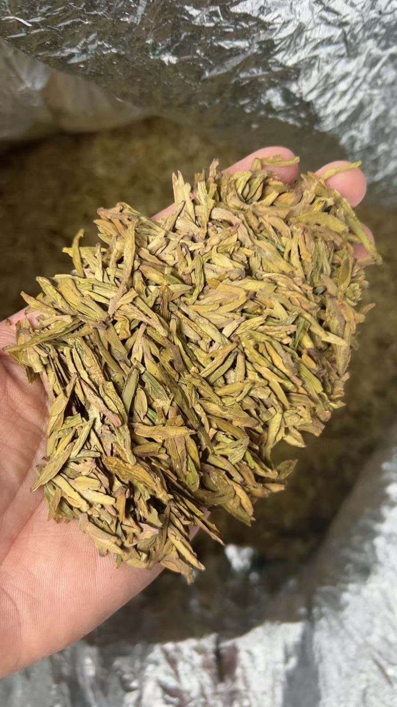 黄版龙井