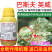 正品巴斯夫英威50双丙环虫酯进口杀虫剂蚜虫腻子烟粉虱专用