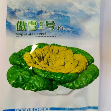 傲雪一号-黄心乌种子耐寒性强耐抽薹半塌地