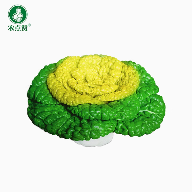 傲雪一号-黄心乌种子耐寒性强耐抽薹半塌地