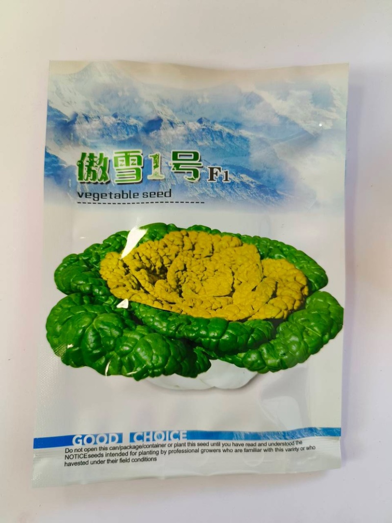 傲雪一号-黄心乌种子耐寒性强耐抽薹半塌地