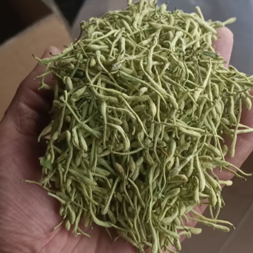 500亩大把撸出售
