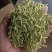 500亩大把撸出售